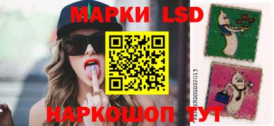 мдпв Будённовск