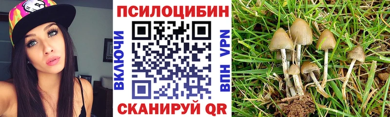 Галлюциногенные грибы MAGIC MUSHROOMS Десногорск
