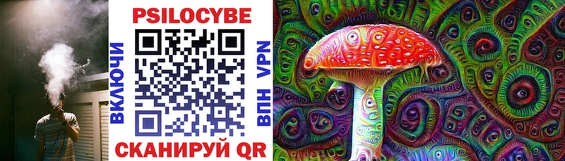где найти наркотики  Десногорск  Псилоцибиновые грибы Psilocybine cubensis 