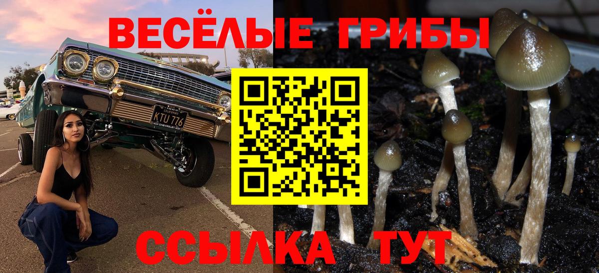 Псилоцибиновые грибы мицелий  Вход с VPN  Десногорск 