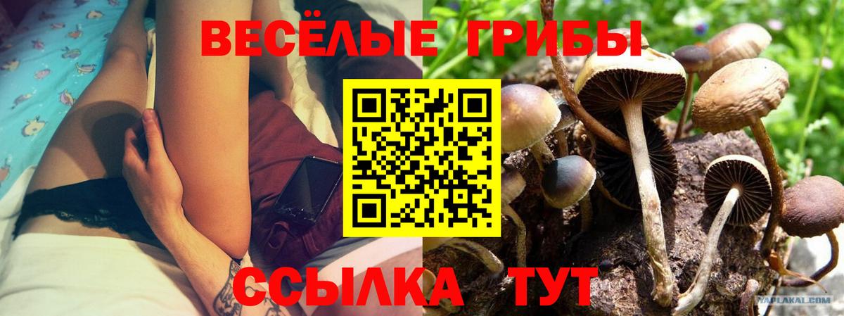 Десногорск  Cocaine  Марихуана  МЕТ  ЭКСТАЗИ  Меф МЯУ МЯУ   Вход с VPN  ГАШ  МДМА 